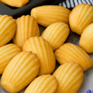 LONG MADELEINES PLAIN